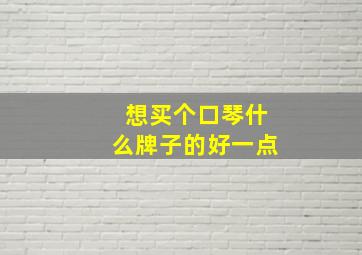 想买个口琴什么牌子的好一点