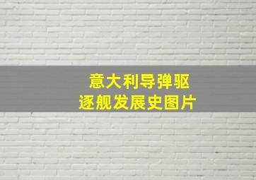 意大利导弹驱逐舰发展史图片