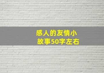 感人的友情小故事50字左右