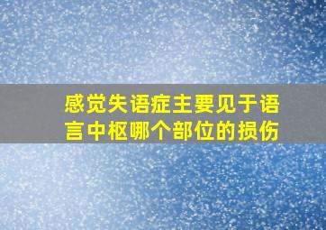 感觉失语症主要见于语言中枢哪个部位的损伤