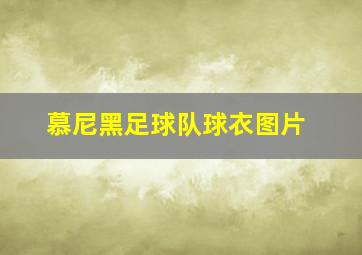 慕尼黑足球队球衣图片