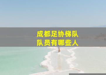 成都足协梯队队员有哪些人