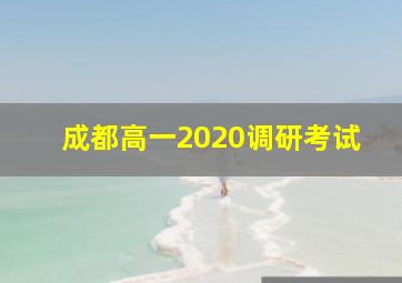 成都高一2020调研考试