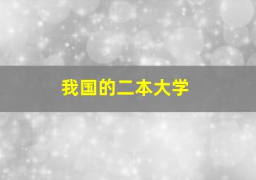 我国的二本大学