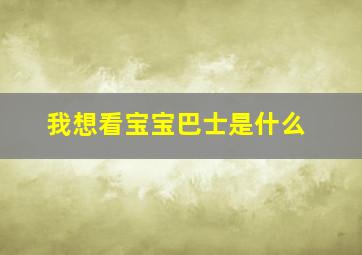 我想看宝宝巴士是什么