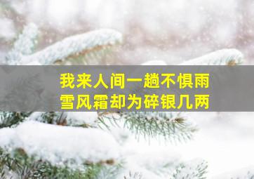 我来人间一趟不惧雨雪风霜却为碎银几两