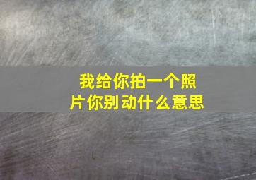 我给你拍一个照片你别动什么意思