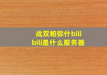 战双帕弥什bilibili是什么服务器