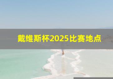 戴维斯杯2025比赛地点