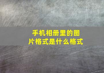 手机相册里的图片格式是什么格式