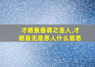 才德兼备谓之圣人,才德皆无是愚人什么意思