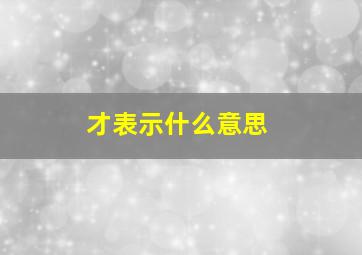 才表示什么意思