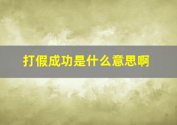 打假成功是什么意思啊