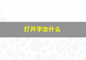 打开字念什么