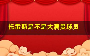 托雷斯是不是大满贯球员