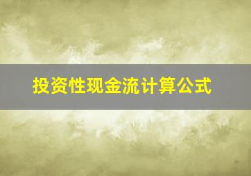 投资性现金流计算公式