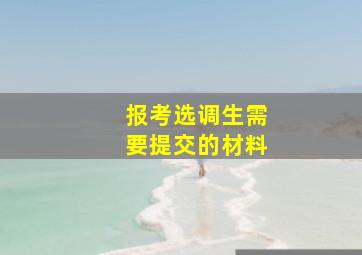 报考选调生需要提交的材料