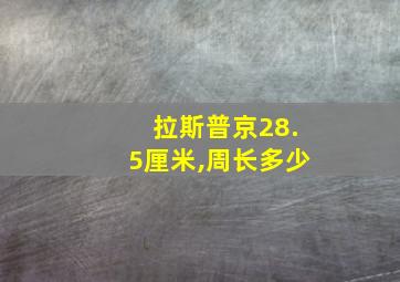 拉斯普京28.5厘米,周长多少