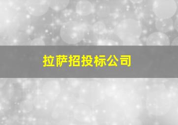 拉萨招投标公司