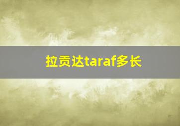 拉贡达taraf多长