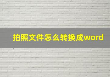 拍照文件怎么转换成word