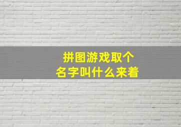 拼图游戏取个名字叫什么来着