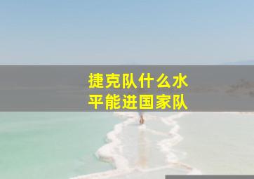 捷克队什么水平能进国家队