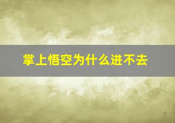 掌上悟空为什么进不去