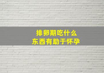 排卵期吃什么东西有助于怀孕