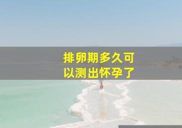 排卵期多久可以测出怀孕了