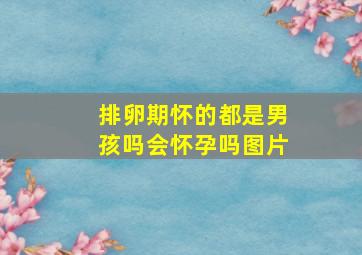 排卵期怀的都是男孩吗会怀孕吗图片