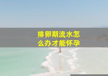 排卵期流水怎么办才能怀孕