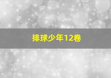 排球少年12卷