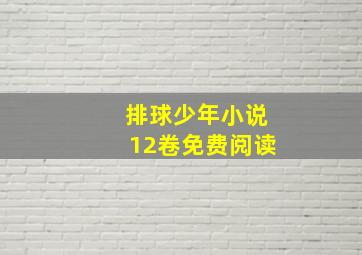 排球少年小说12卷免费阅读