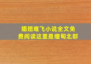 插翅难飞小说全文免费阅读这里是缅甸北部