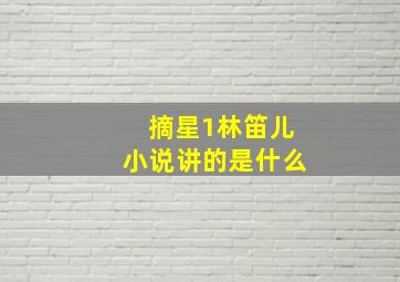 摘星1林笛儿小说讲的是什么