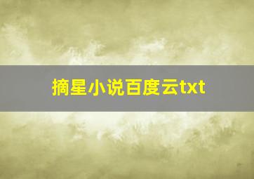 摘星小说百度云txt