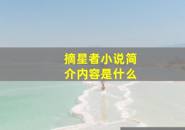 摘星者小说简介内容是什么