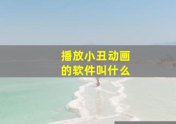 播放小丑动画的软件叫什么