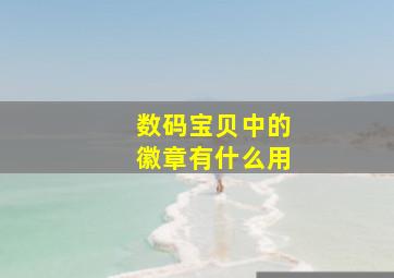 数码宝贝中的徽章有什么用