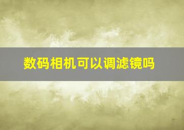 数码相机可以调滤镜吗