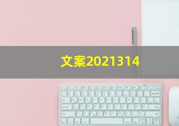 文案2021314