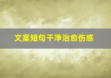 文案短句干净治愈伤感