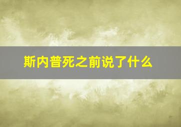 斯内普死之前说了什么