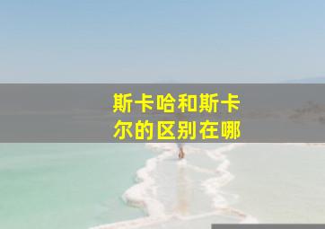 斯卡哈和斯卡尔的区别在哪