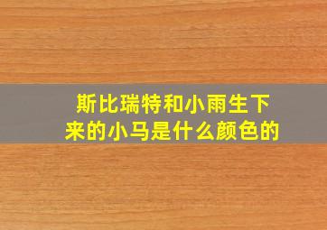 斯比瑞特和小雨生下来的小马是什么颜色的