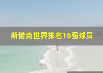 斯诺克世界排名16强球员