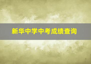 新华中学中考成绩查询