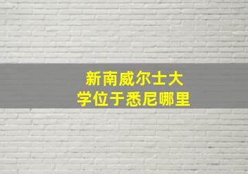 新南威尔士大学位于悉尼哪里