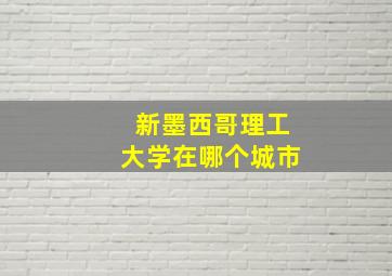 新墨西哥理工大学在哪个城市